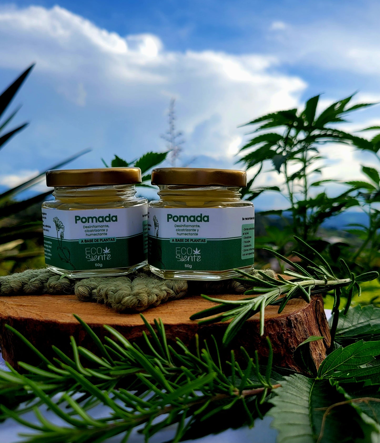 Pomada de Cannabis (50g)