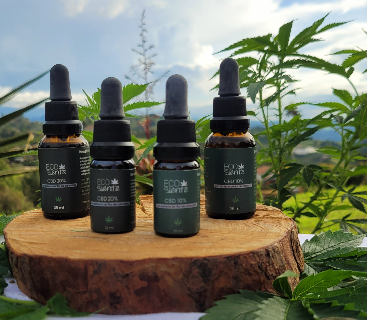 cannabis oil