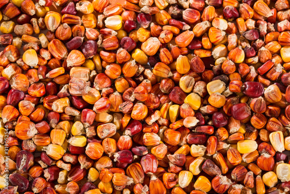 Arepas de maiz criollo (5uds)