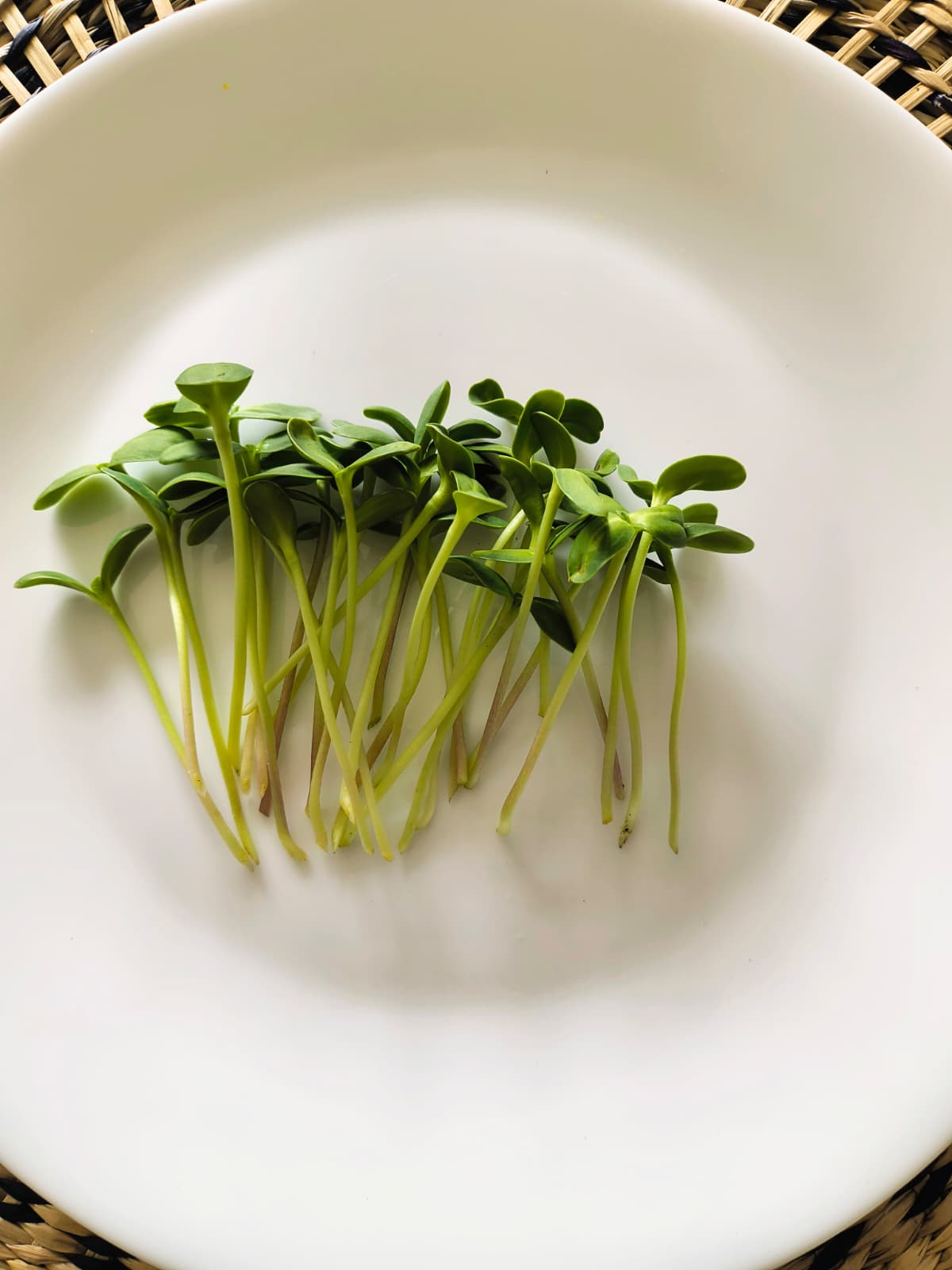 Brotes (50g)