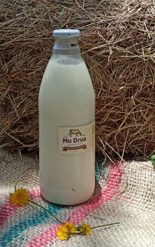 Leche entera pasteurizada (1L)
