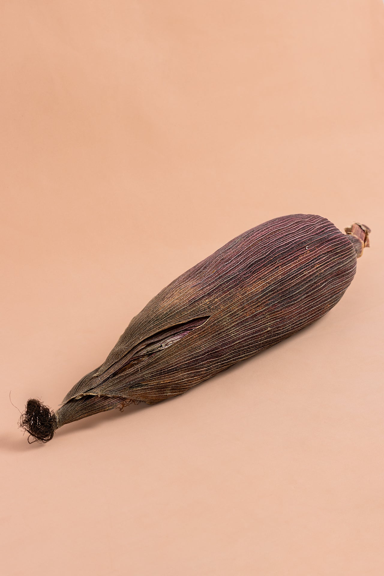 Selected Capio Corn Seed