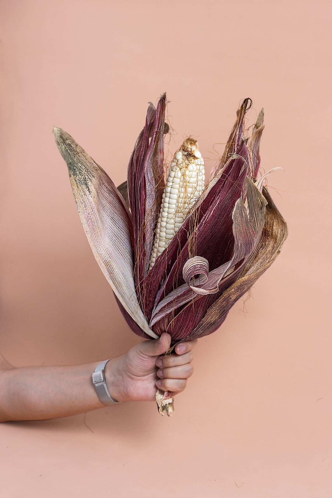 Selected Capio Corn Seed