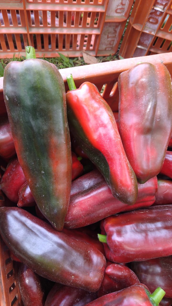 Pimentón (500g)