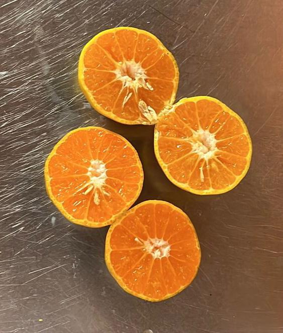 Paquetoncito Agroecológico 🥑🍌🍓🥬