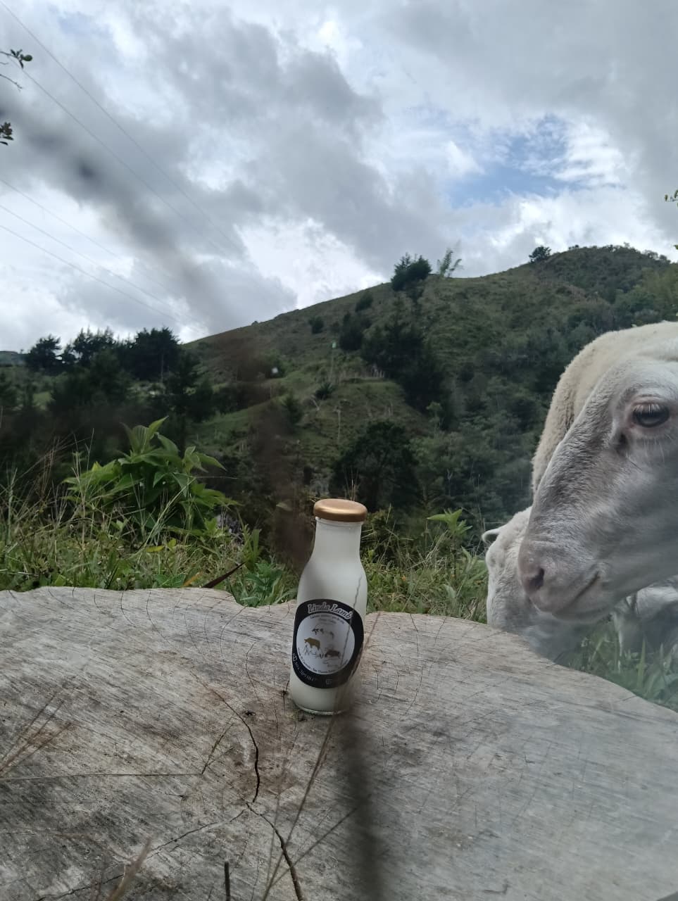 Yogur de oveja entero bebible (250ml)