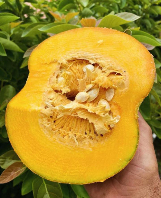 Ahuyama criolla (500g)