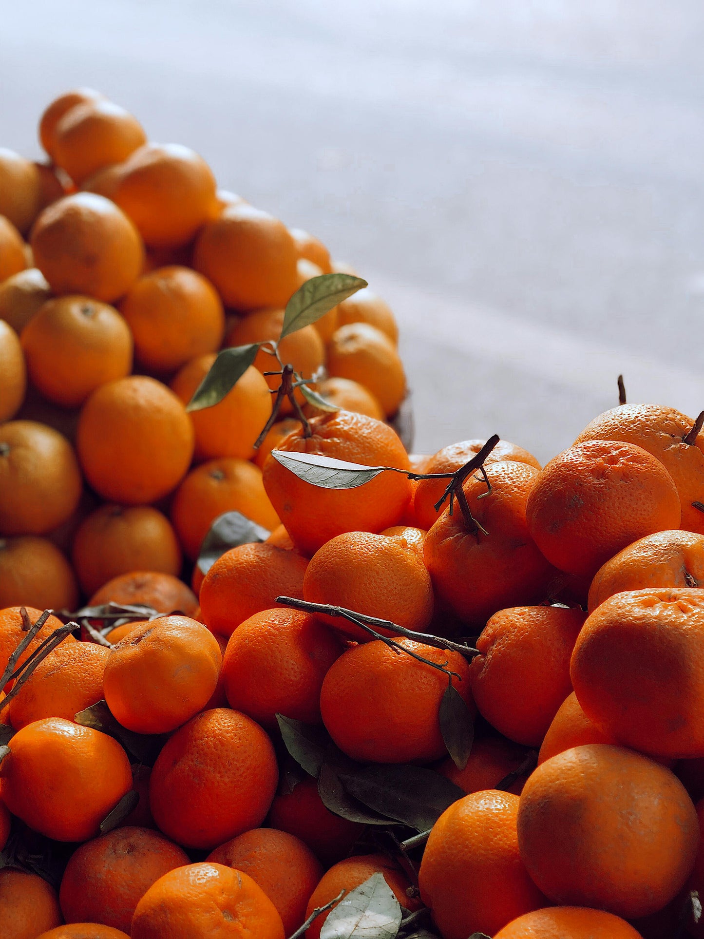Mandarina criolla (1kg)