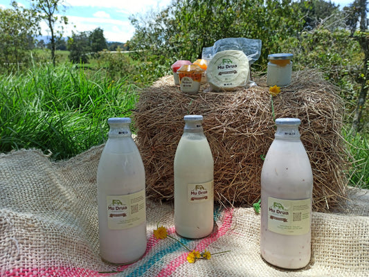 Yogurt bebible con mora sin azúcar 1L