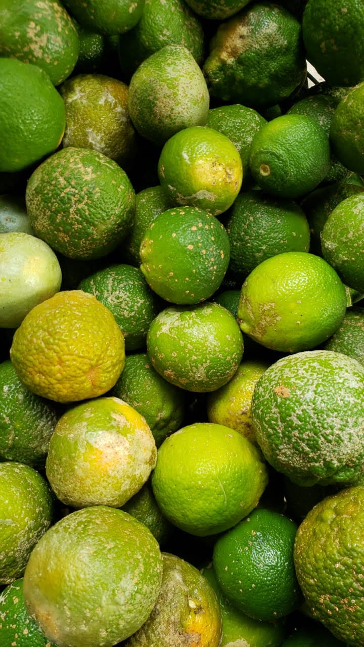 Limón mandarino (1kg)