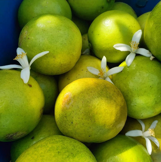 Lime (1Kg)