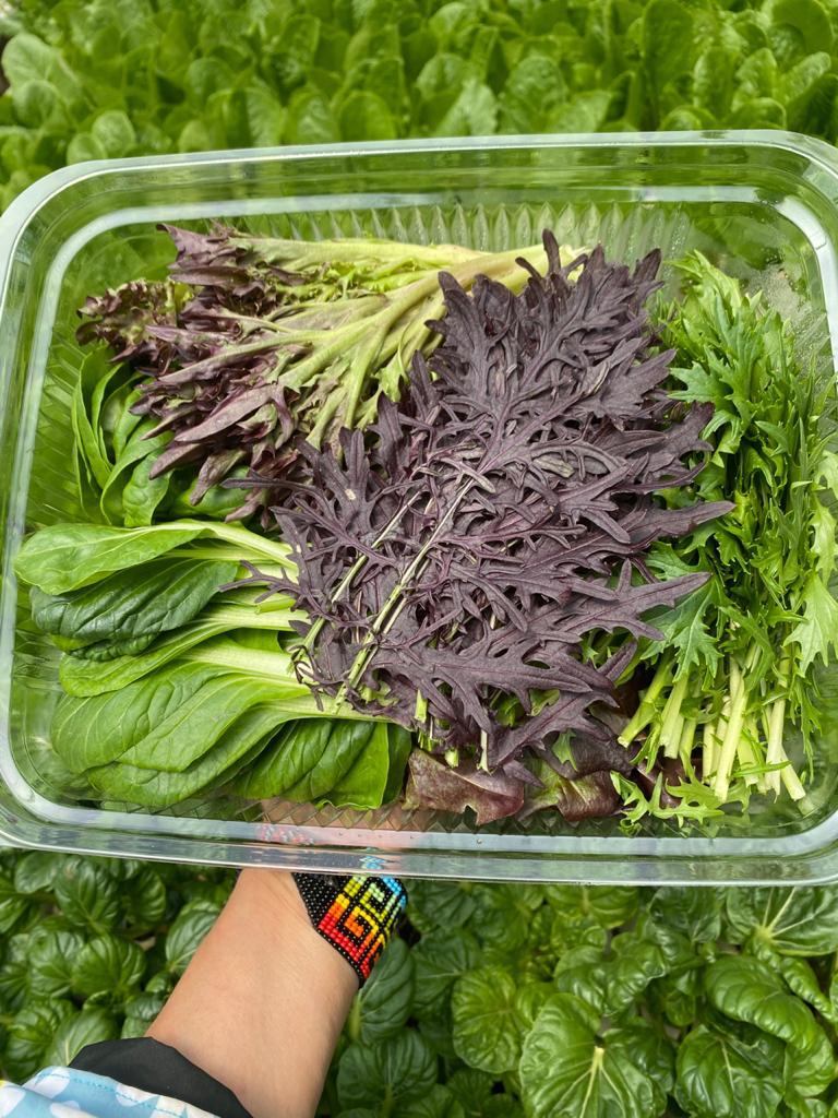 Mezclum de lechugas (125g)