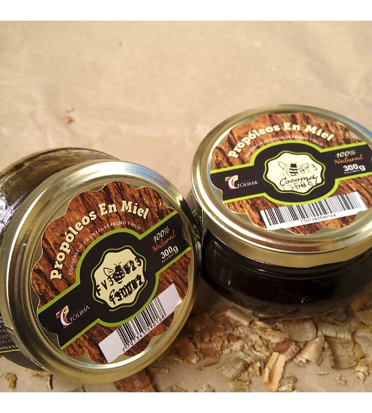 Propolis in honey (300g)