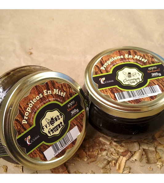 Propolis in honey (300g)