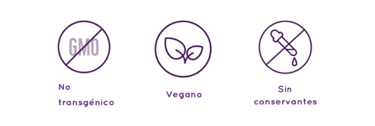 Creole corn tortillas (12 units)