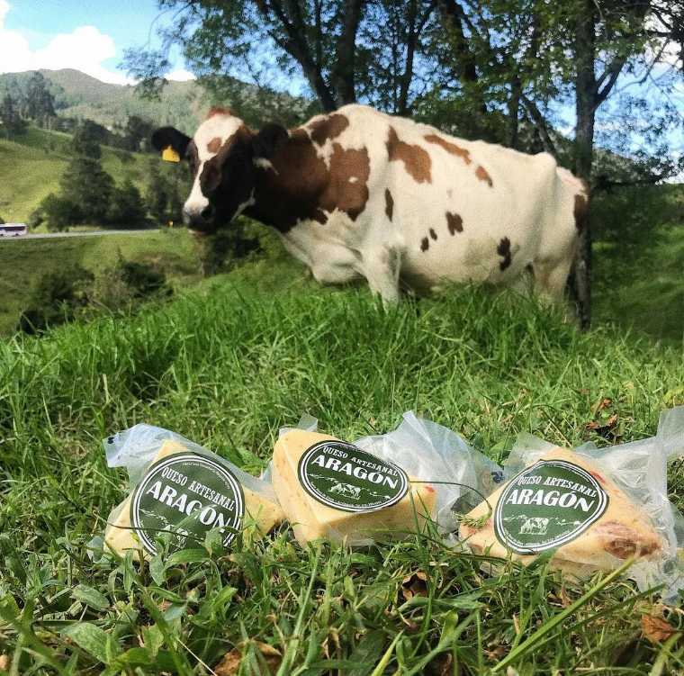 Fine herb cheese (250g)