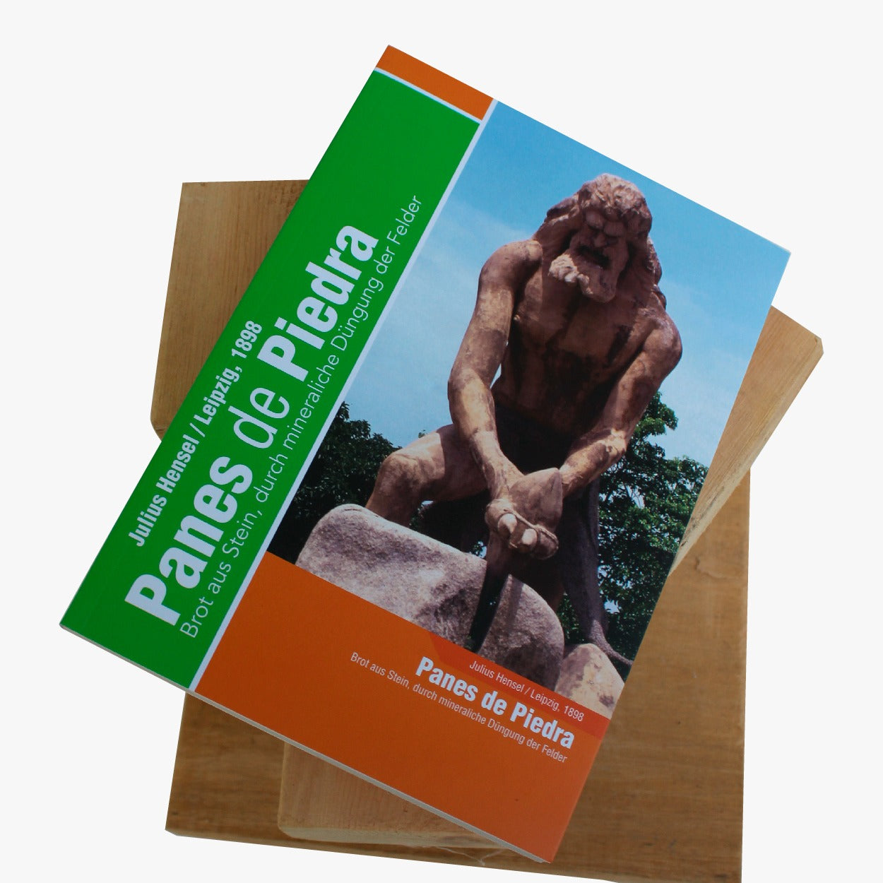 Libro PANES DE PIEDRA