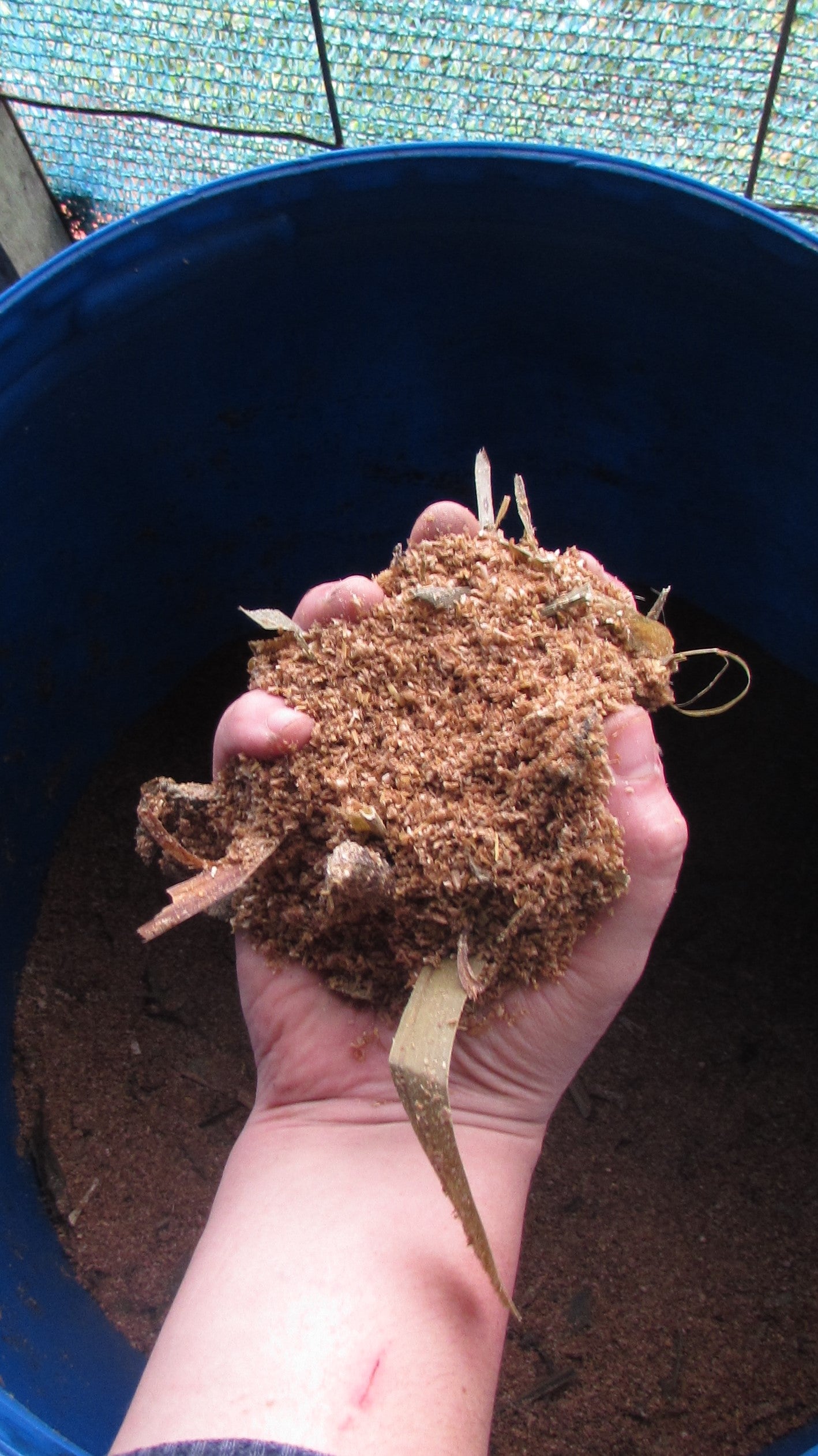 Solid mountain microorganisms (1kg)