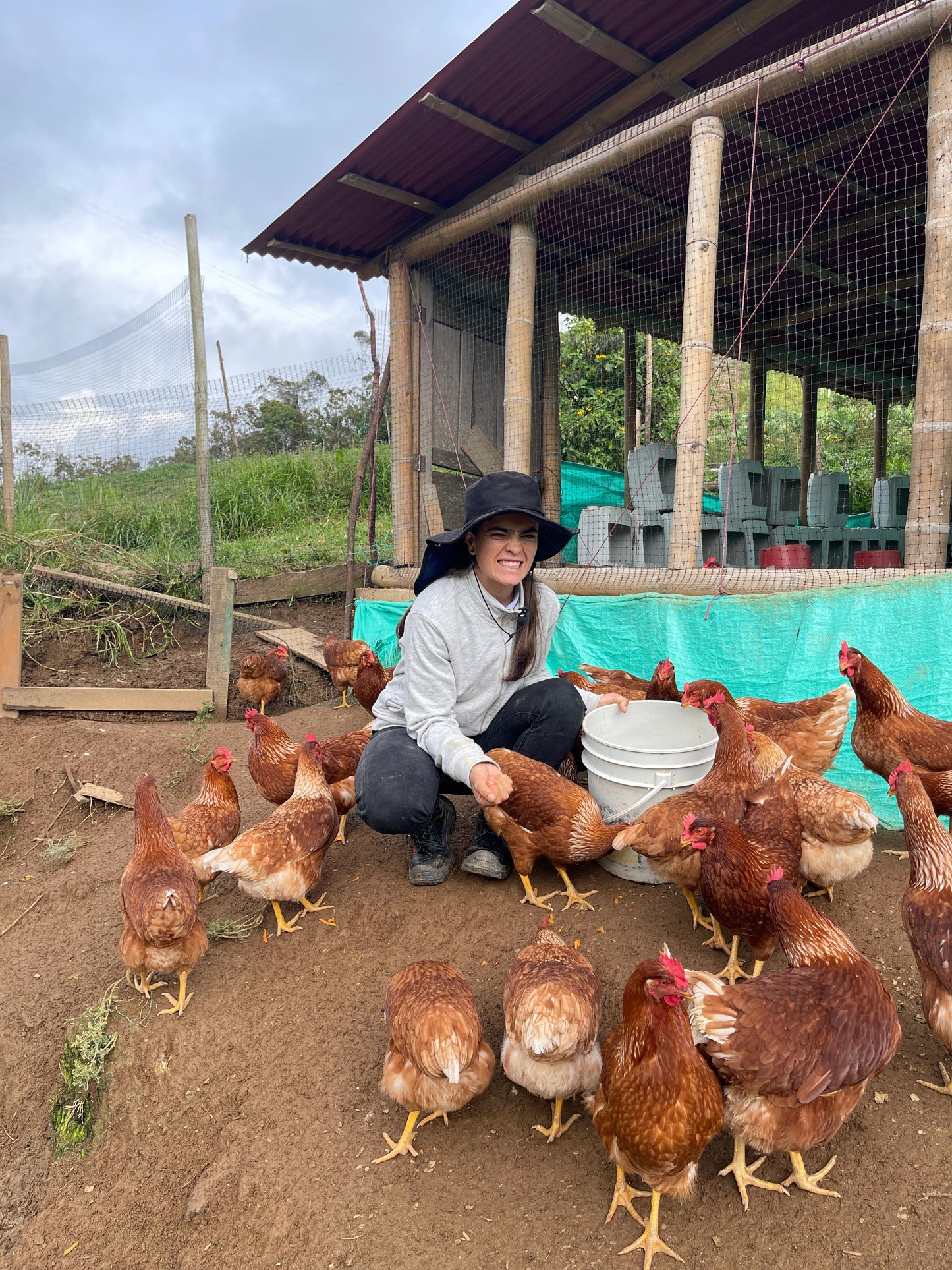 Huevos campesinos (30uds)