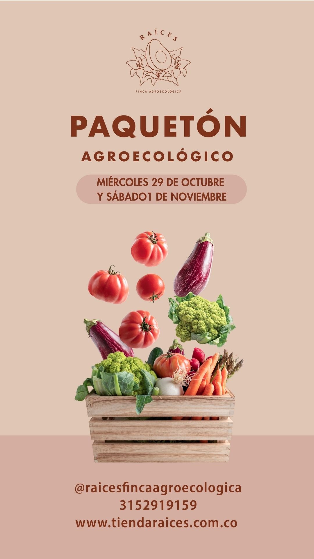 Paquetón Agroecológico Fresquito 🥑🍌🍓🥬