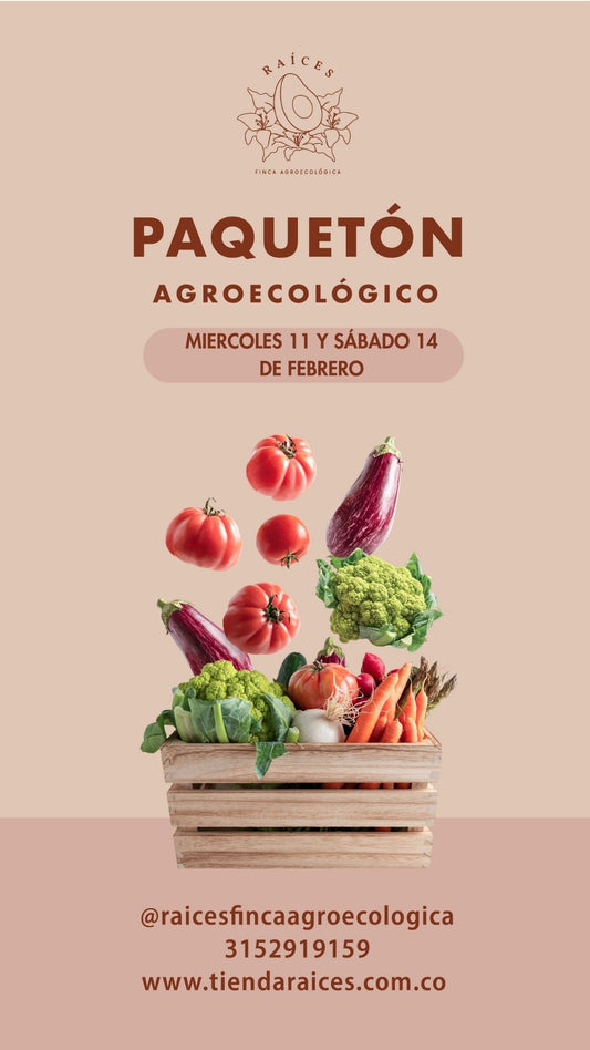 Paquetón Agroecológico Fresquito 🥑🍌🍓🥬