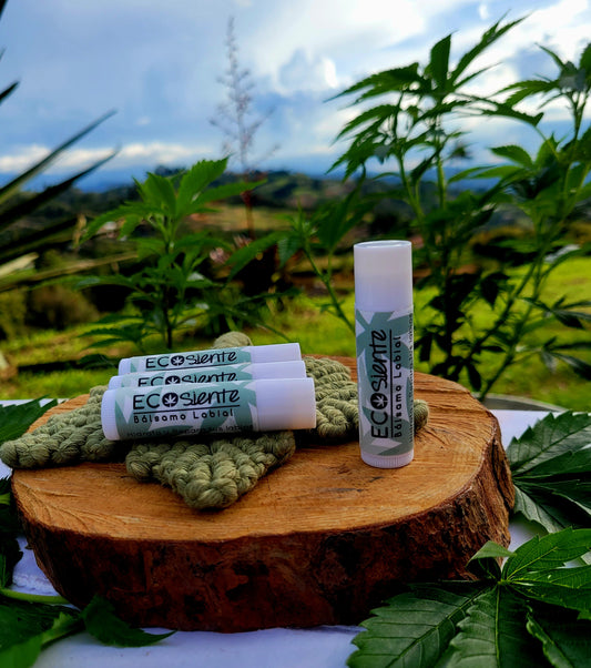 Bálsamo labial con Cannabis