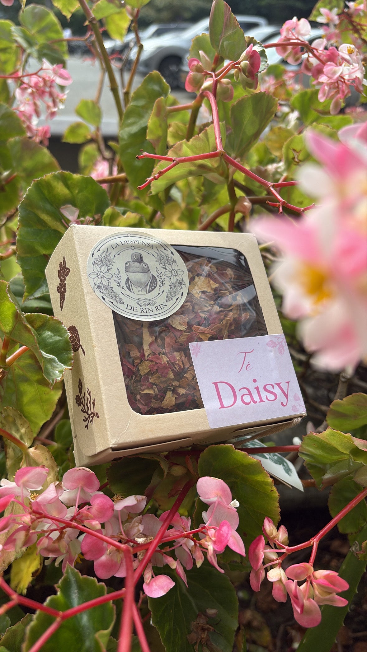 Té Daisy