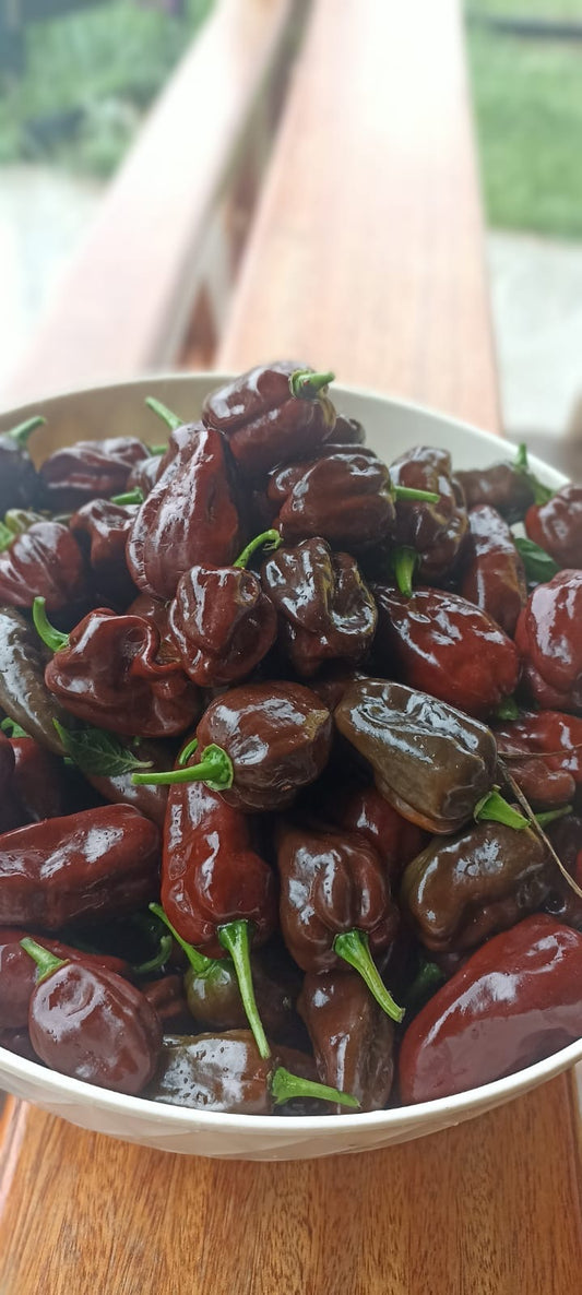 Ají habanero chocolate (250g)