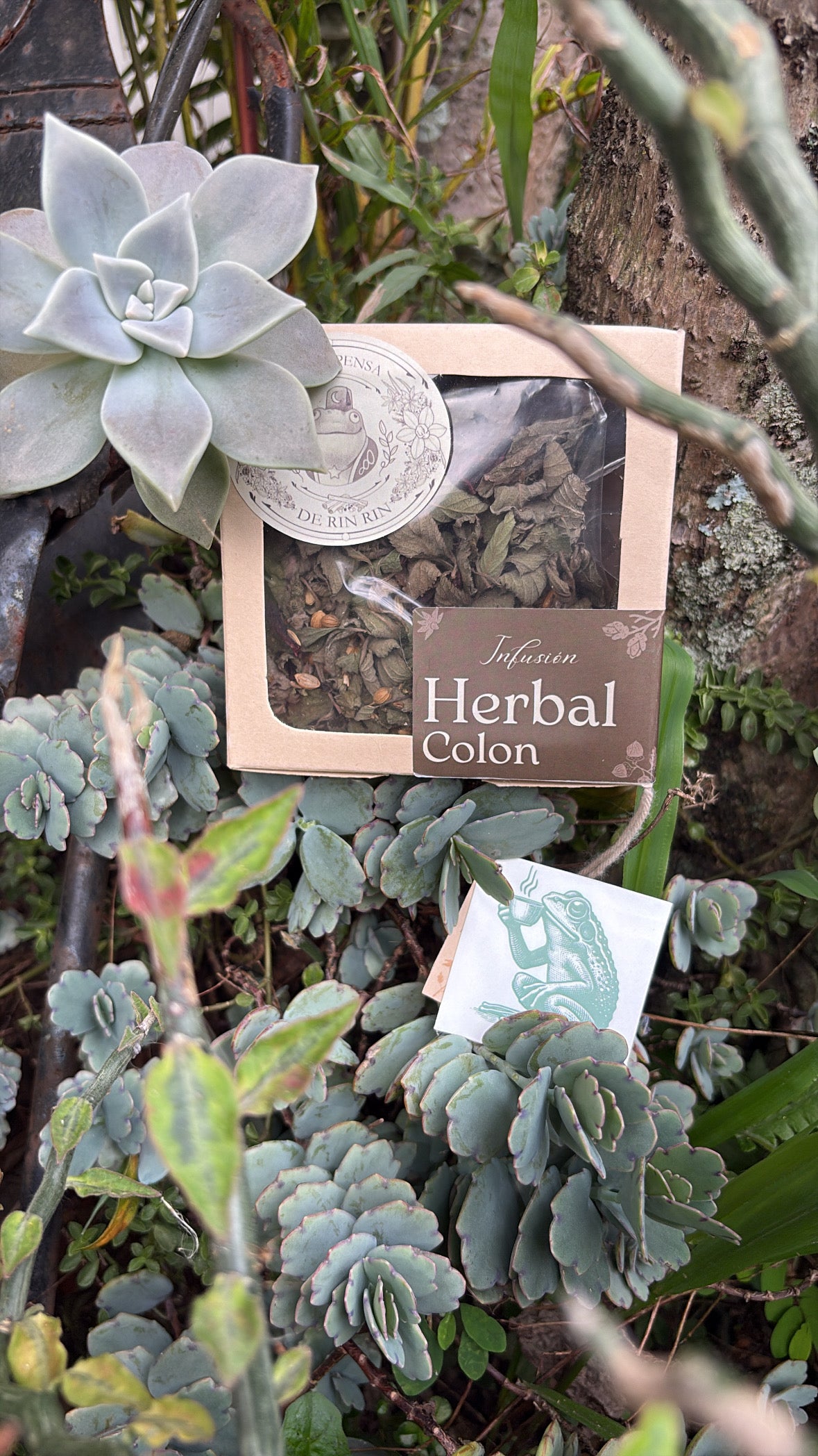 Infusión Herbal Colon