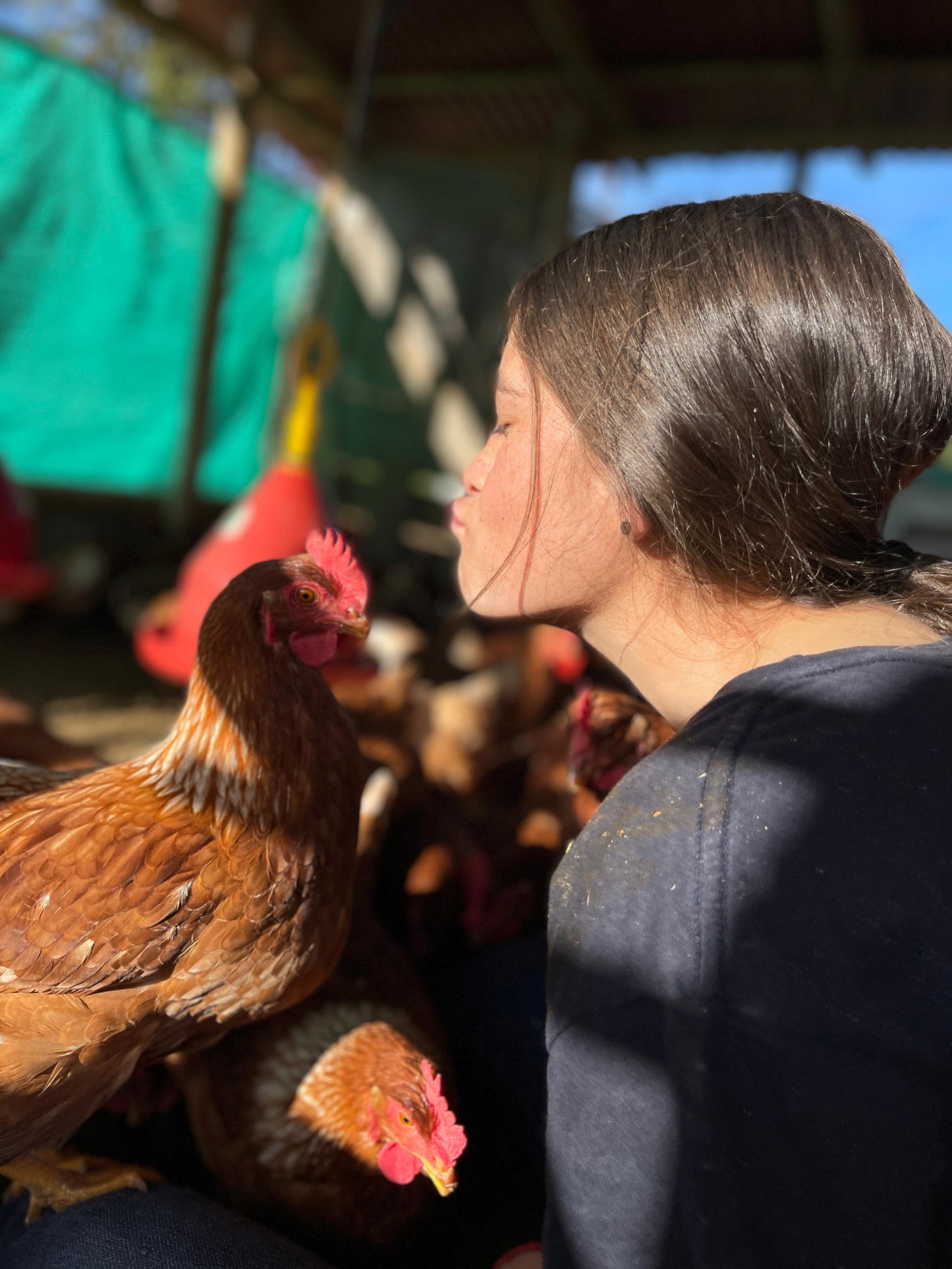 Huevos campesinos (30uds)