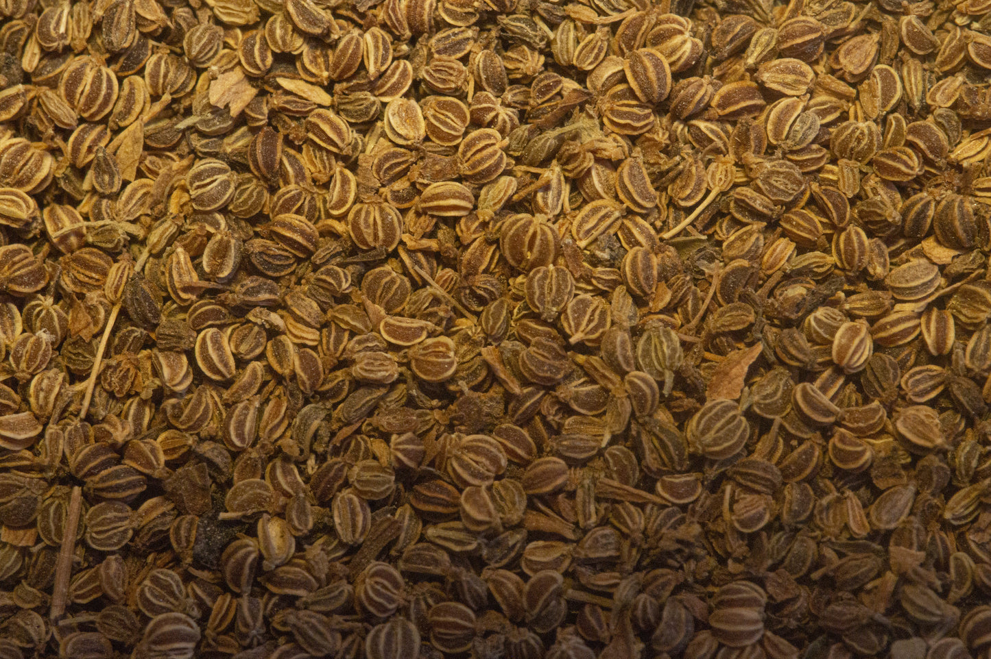 Celery seed (0.5g)