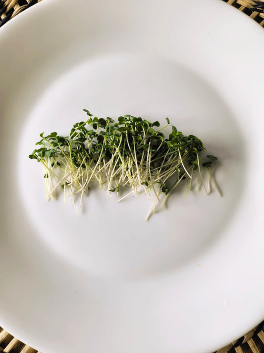 Brotes (50g)