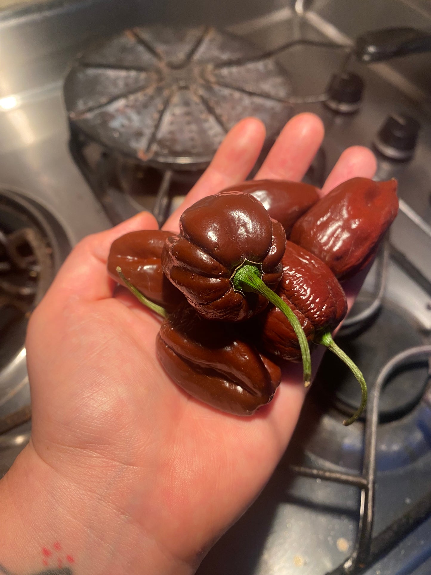 Ají habanero chocolate (250g)