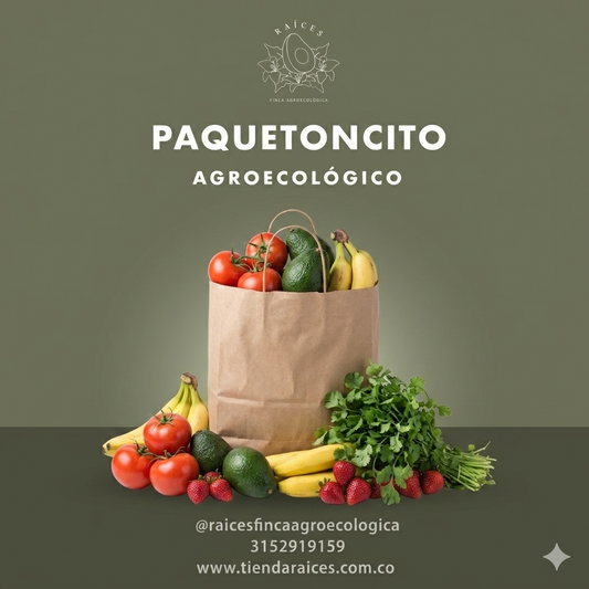 Paquetoncito Agroecológico 🥑🍌🍓🥬