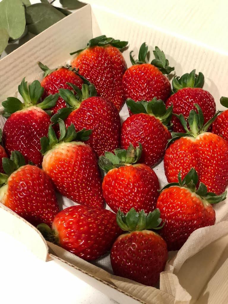 Fresas (500g)