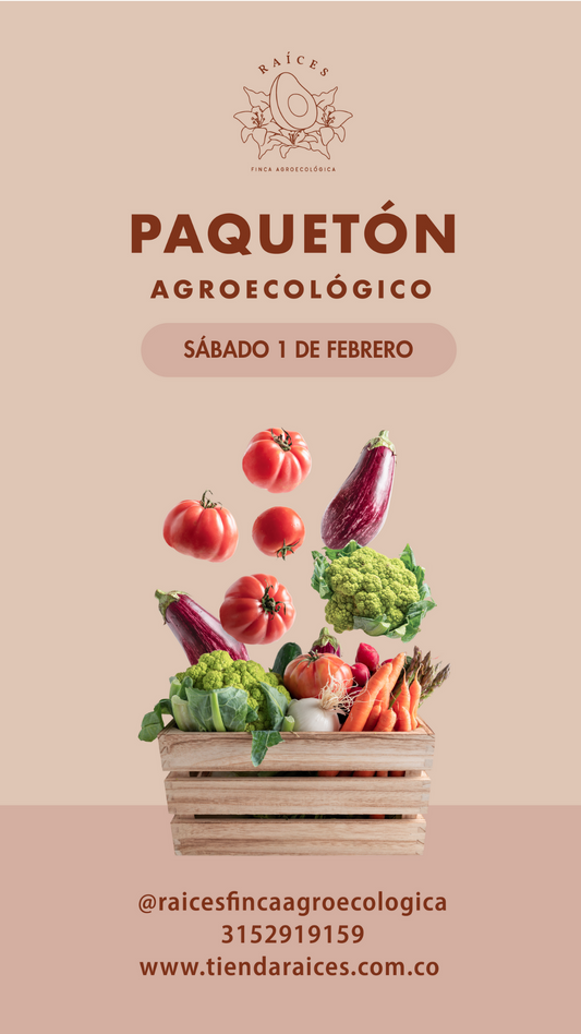 Paquetón Agroecológico Fresquito 🥑🍌🍓🥬