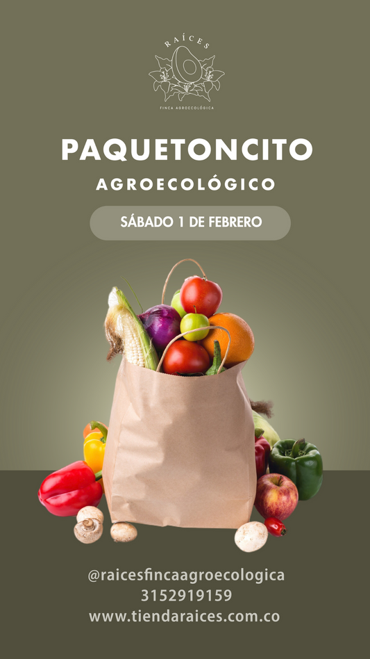 Paquetoncito Agroecológico 🥑🍌🍓🥬