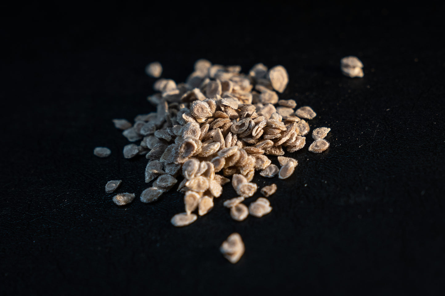 Promise Tomato Seed (0.5g)