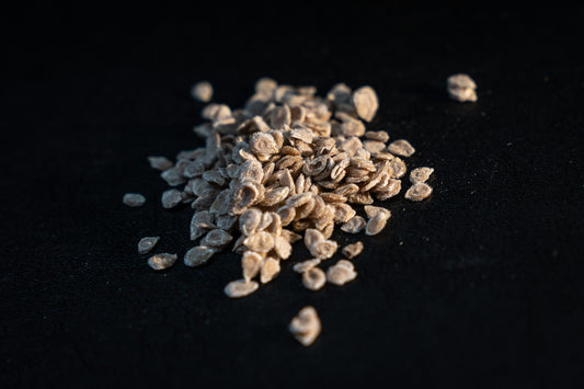 Promise Tomato Seed (0.5g)