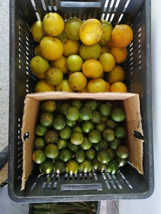 Naranja (1kg)