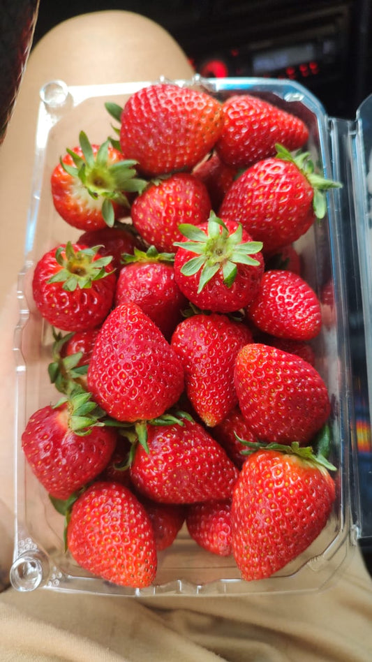 Fresas (500g)