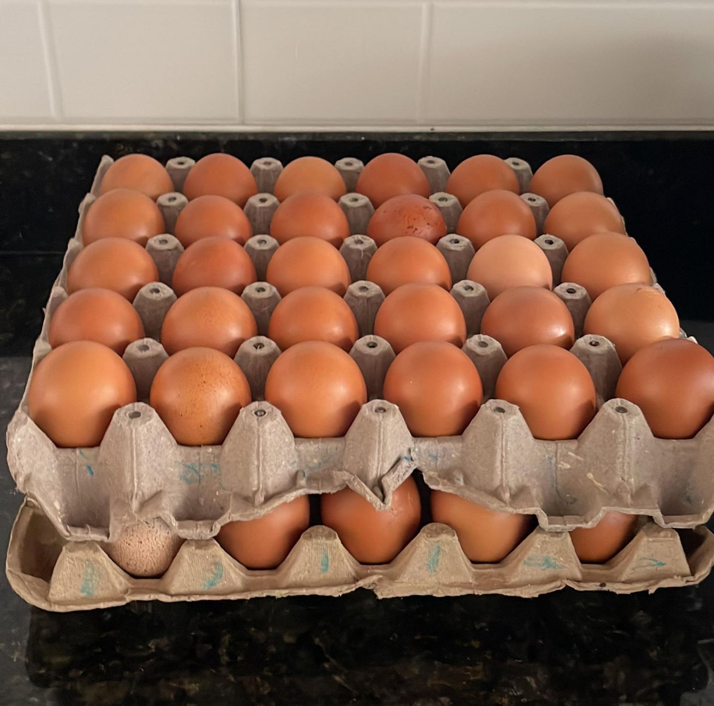 Super Paquetón Agroecológico 🧀🥑🍌🍓🥬