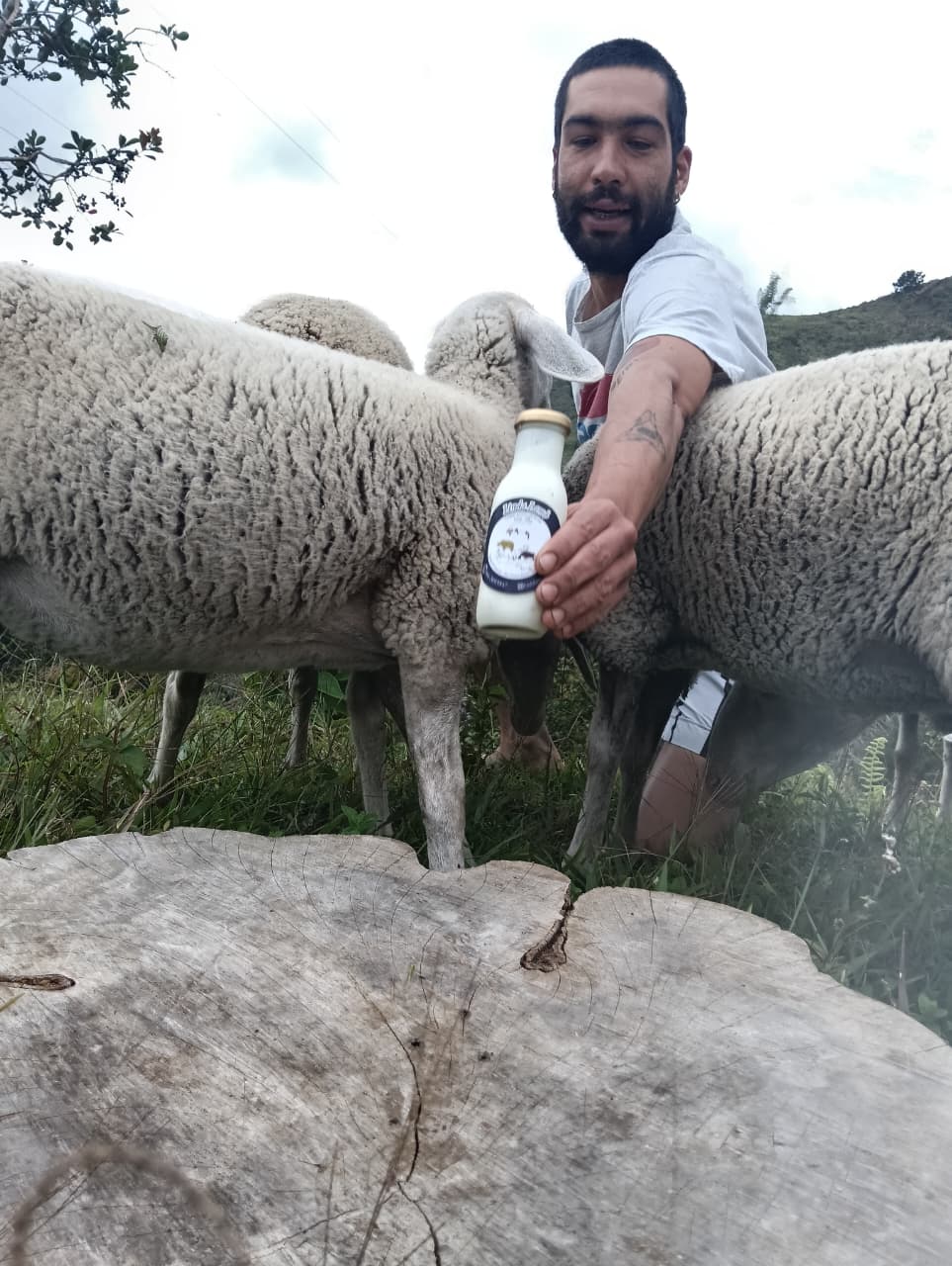 Yogur de oveja entero bebible (250ml)