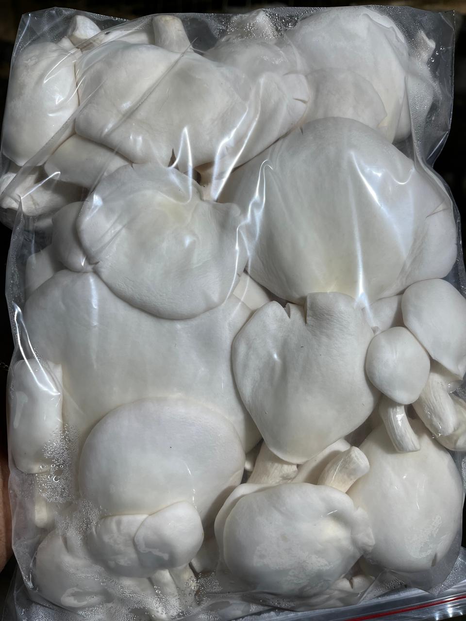 Orellanas frescas (500g)