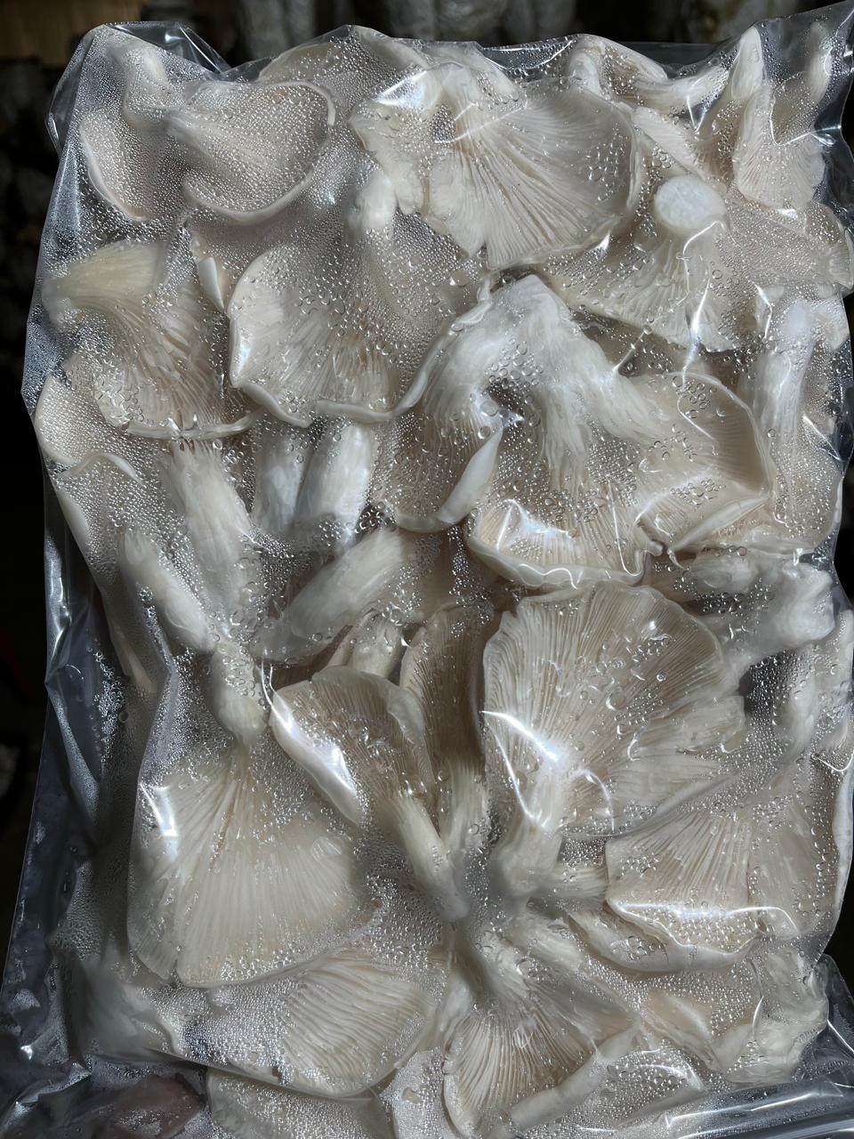 Orellanas frescas (500g)