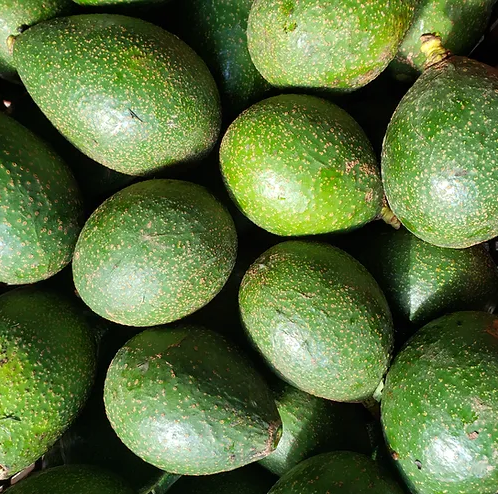 Aguacate santana (1kg)