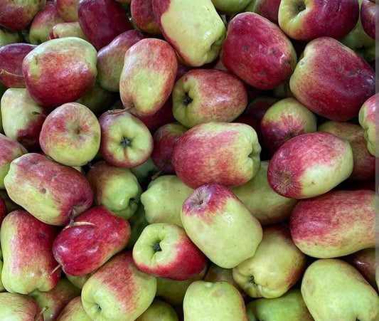 Manzana criolla
