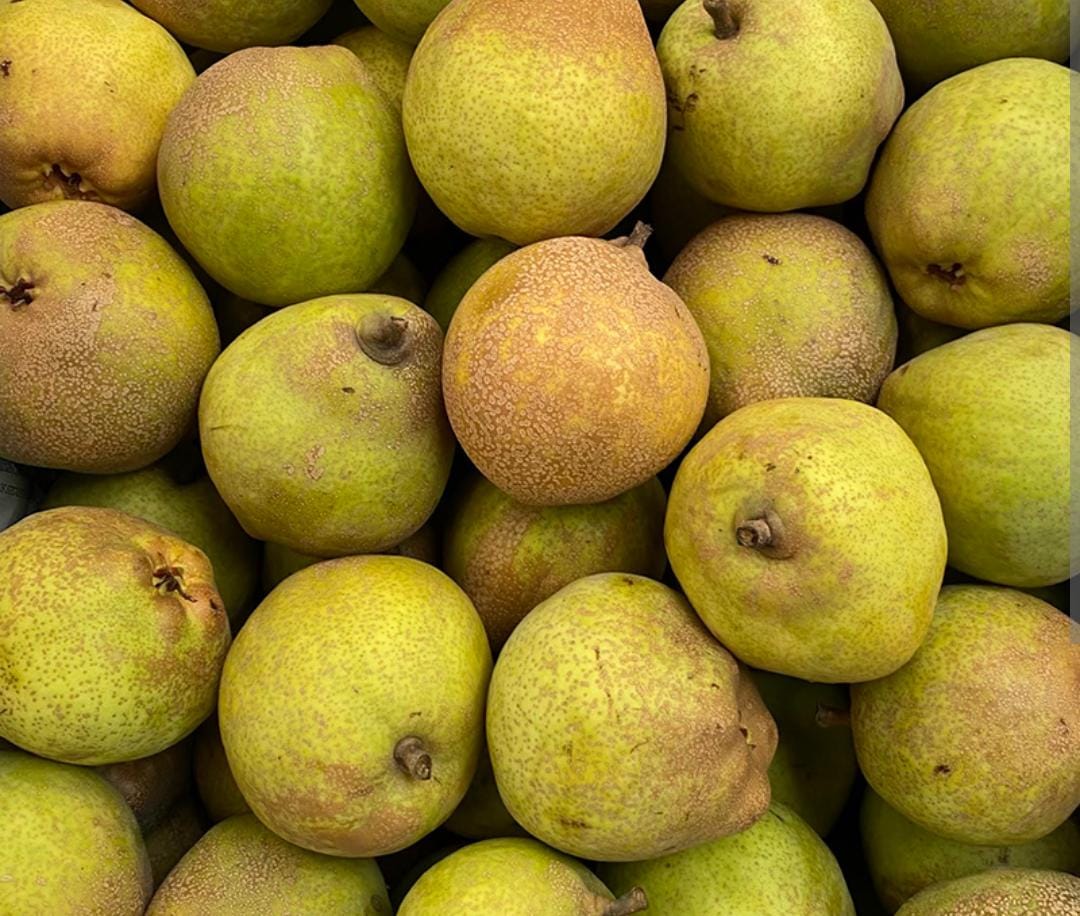 Pera criolla