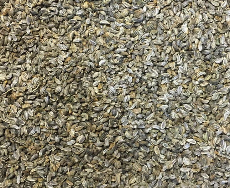 Parsley Seed (1g)