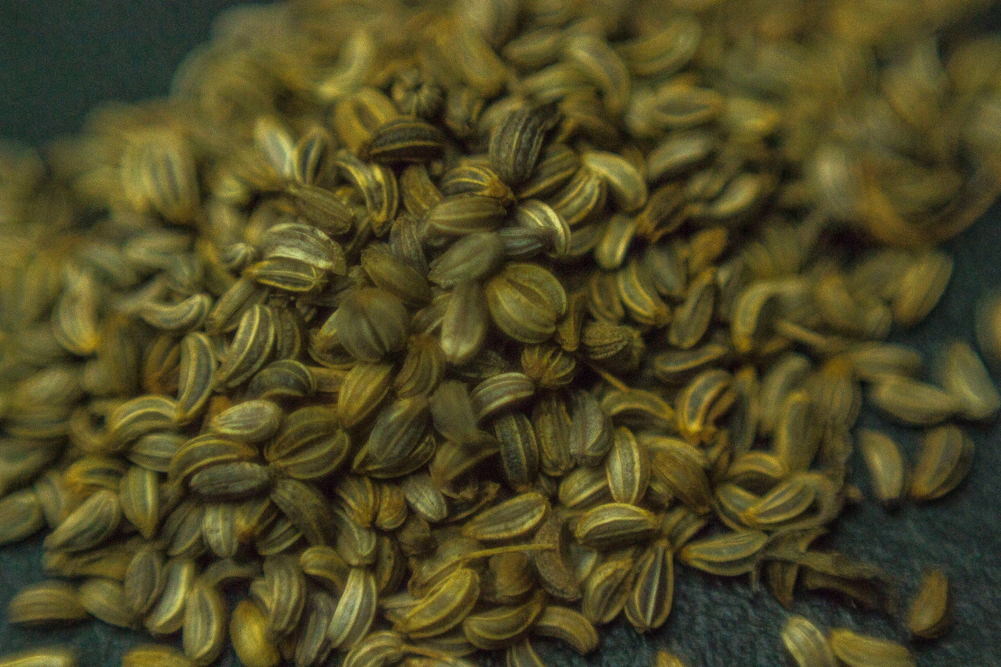 Parsley Seed (1g)